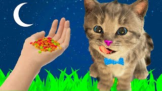 Care For Little Kitten Adventure - Incredible Adventure Journey Of A Cat And Animal Friends