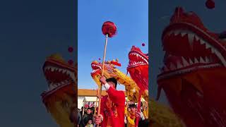 Chinese Festival Wonderful Dragon Dance Performance