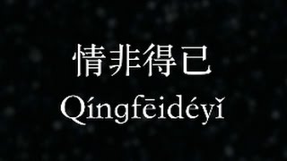 Video thumbnail of "庾澄慶：情非得已 (KTV with Pinyin)"
