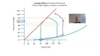 Cardiovascular Short Video:  PV-Loop Video #4, Inotropic Effect