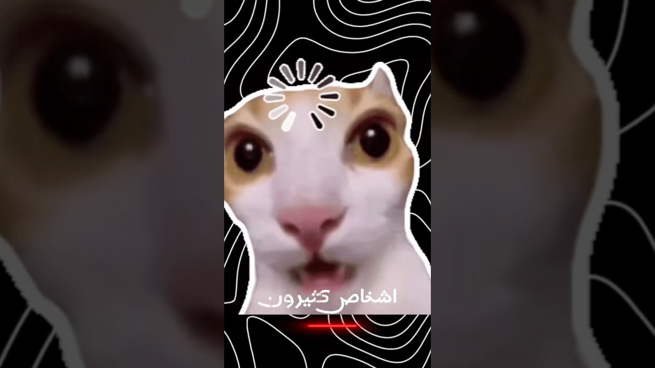 أساله لأذكياء فقط اختبر نسبة ذكائك iq