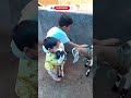 #Baby and baby goats #goat video for kids #cute #funny