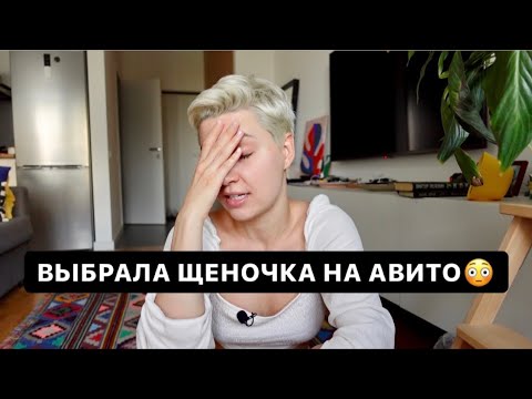 как я покупала собаку / жуткий питомник и странные заводчики