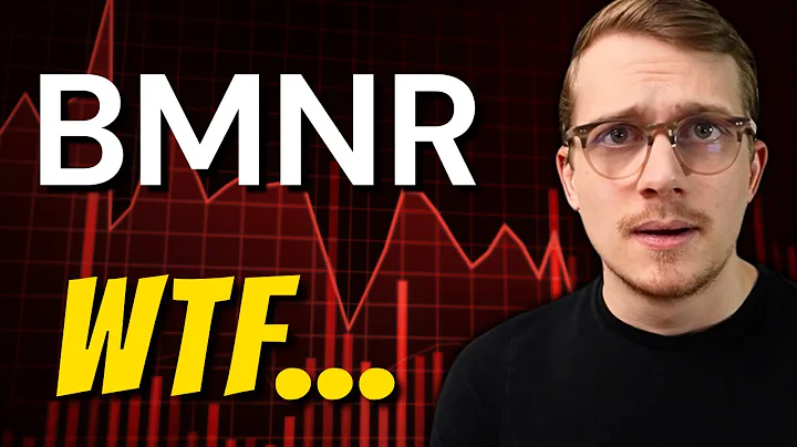 DID TOM LEE LIE? Leaked Emails Suggest BMNR CRASH!