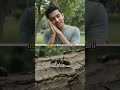 Kya Cheentiyan Soti Hain? 😱#Ants #AnimalFacts #AmazingFacts #DidYouKnow #FactShorts #InterestingFact