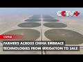 Farmers Across China Embrace Technologies from Irrigation to Sale