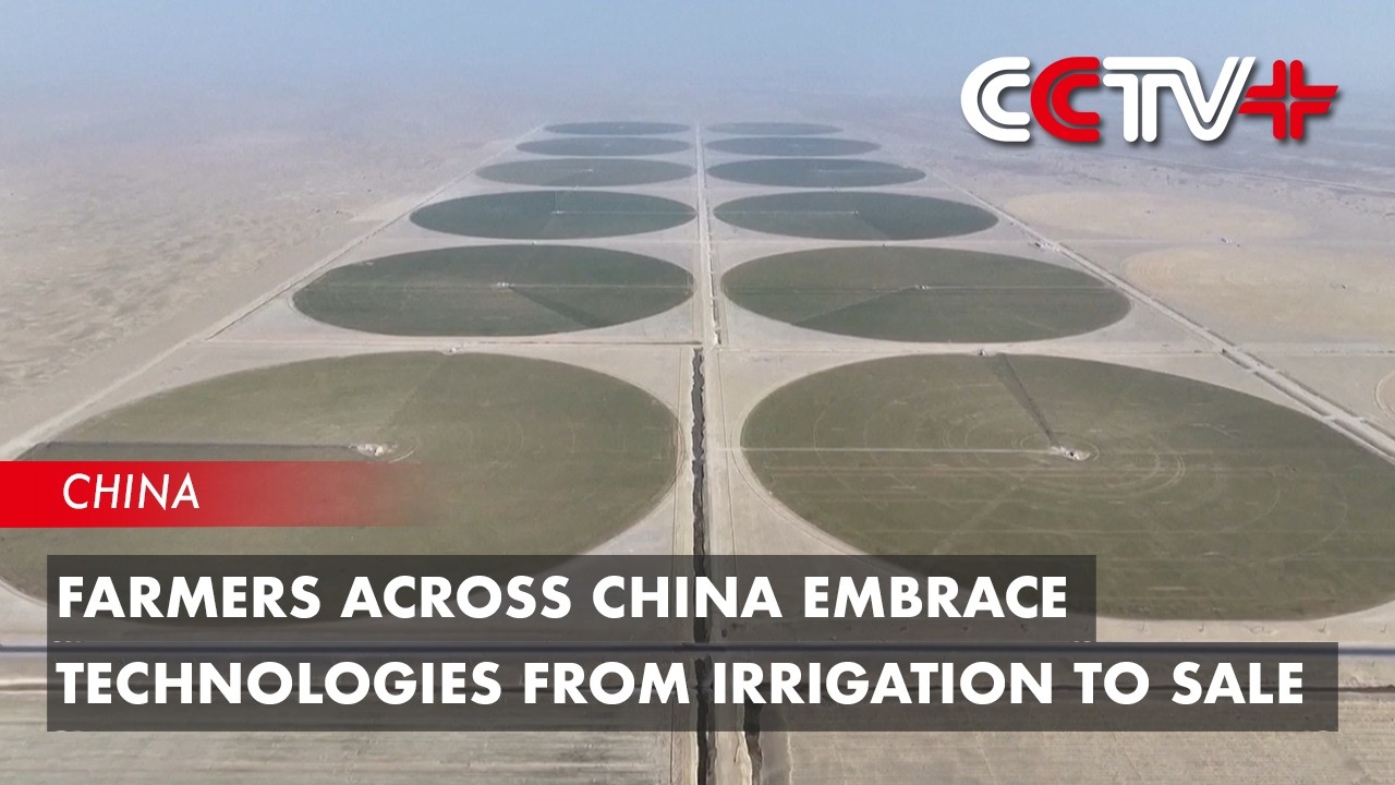 Фермеры по всему Китаю внедряют технологии от орошения до продажи продукции.
