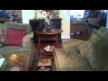 Cat Chattering Cat Chattering
