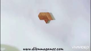 HEXIAMOND PUZZLE, The solution to the 12 HEXAGON Pieces Brain teaser by DILEMMA GAMES