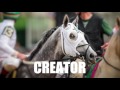 InstaBram: Tapit Owns the Belmont