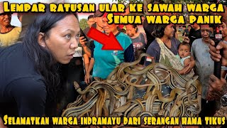 Download Lagu LEPAS RATUSAN ULAR DEDE INOEN DAN DREAM TEAM MP3 Download Lagu LEPAS RATUSAN ULAR DEDE INOEN DAN DREAM TEAM MP3
