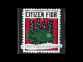 Citizen fish  central nervous system