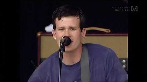 Blink-182 - Dumpweed | Big Day Out 2000