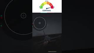 High cortisol be like #warthunder