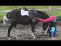Gentle Pony Helps Girl Who Falls Off After Fence Jump