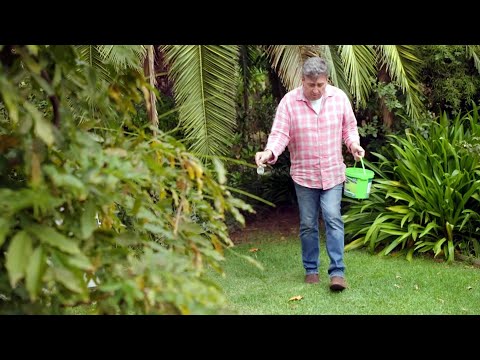 The Garden Gurus