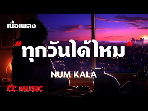 ทุกวันได้ไหม - NUM KALA - (เนื้อเพลง) #เพลงฮิตในtiktok