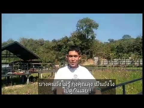 @กุงคุณลุง #แม่ฮ่องสอน EP:1