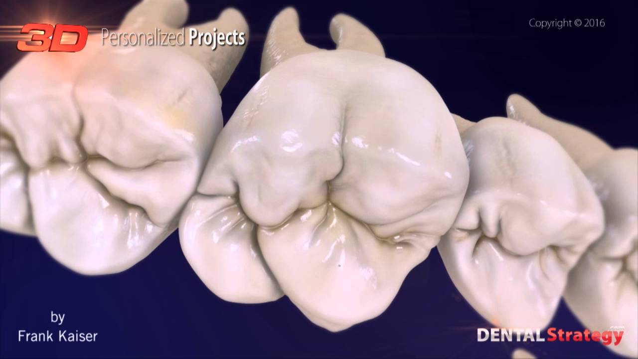 dental morphology 2016 available on dentalstrategy co youtube tooth morphology