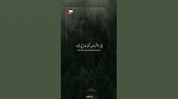 ✨️اللهم رحمتك ارجو .. 🇵🇸🍉#قرآن #اكسبلور #تلاوة_خاشعة #islamic #المصحف #فلسطين #غزة #fyp #palestine