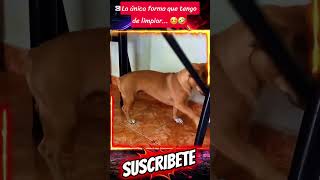 🤣🤣🤣🤣🤣🤣 #memes #funny #viralvideo #risastiktok #foryou #ekmotahathighumechala #comedia