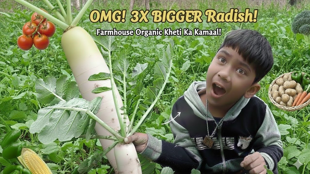 Organic Farming ka Kamal😱🥬| Organic Farming Vegetables | Vlog 02