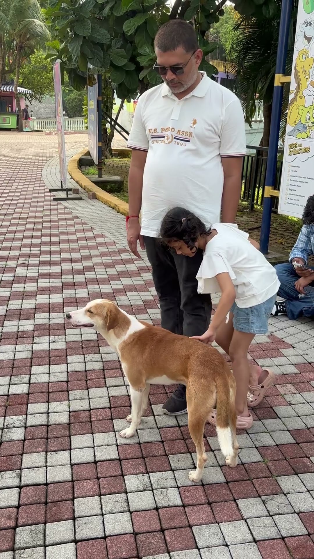 Short: looking after a street dog