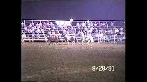 VINITA 91 SIX HORSE HITCH 1