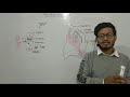 L29: Structure of Monocot Embryo- By Vipin Sharma