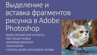 Выделение и вставка фрагментов рисунка в Adobe Photoshop - перевернутый класс