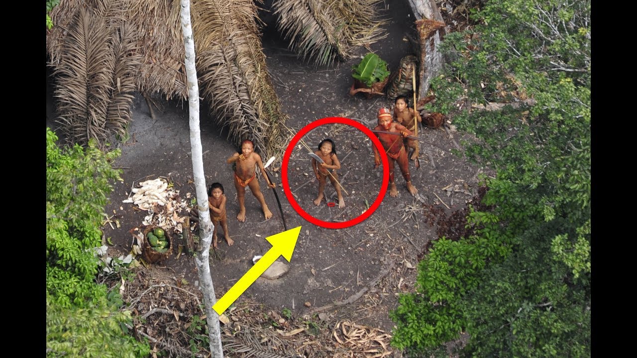 What Gold Mi…rs In A Bar Bo..ed They d Done To An Amazonian Tribe Is Truly ??!! What Gold Mi…rs In A Bar Bo..ed They d Done To An Amazonian Tribe Is Truly ??!!