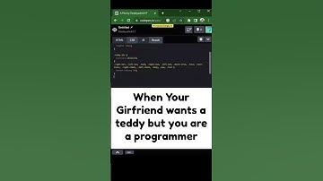 When your girlfriend wants a teddy bear but you are a programmer #shorts #code #valentinesday