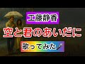 【工藤静香】空と君のあいだに 歌ってみた🎤