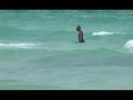Rip Current Demo (Miami Beach Ocean Rescue)