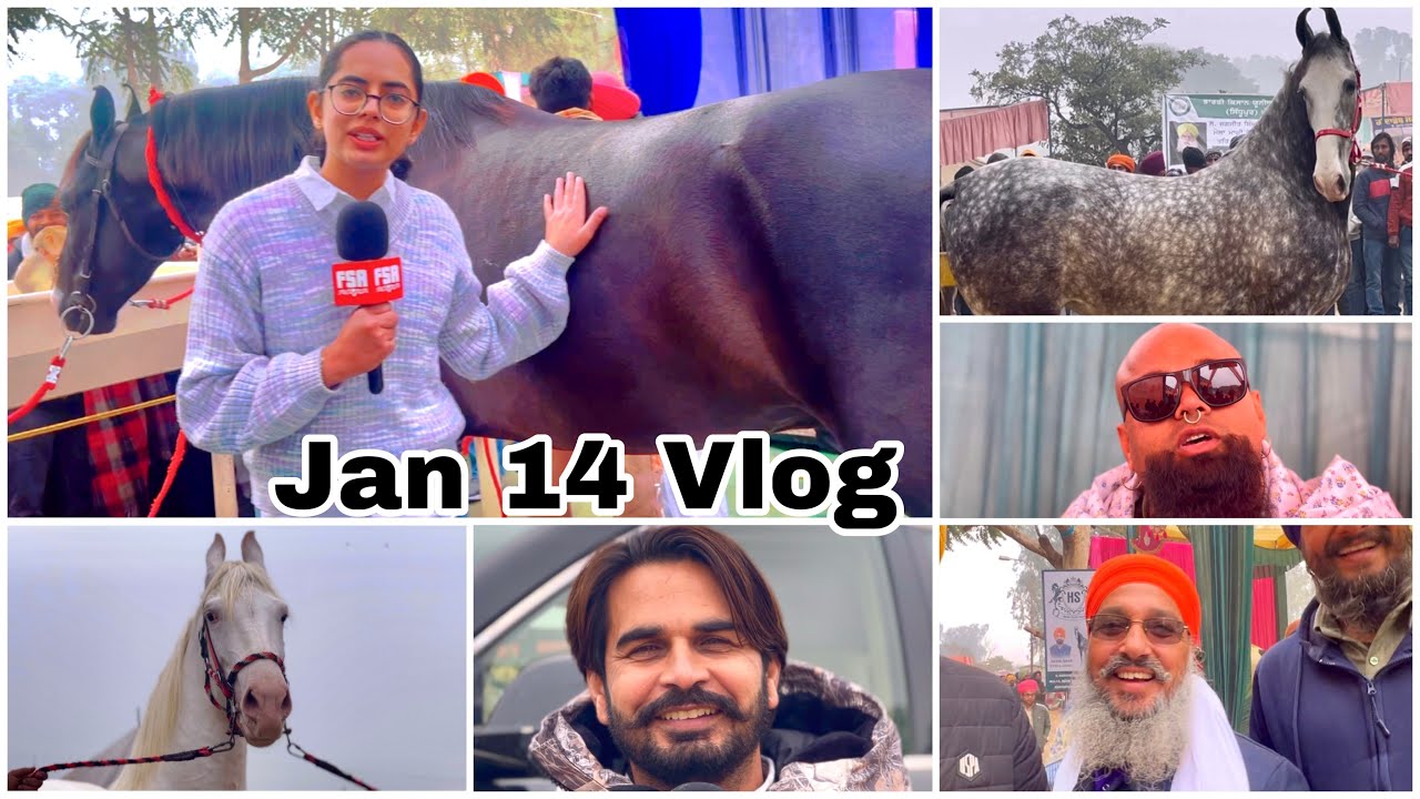 Muktsar Horse Fair 2024 Jan 14 Vlog | Manu Sekhon Interview & Mela Tour