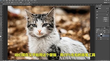 photoshop design tutorials for beginners #shorts #photoshop # 234