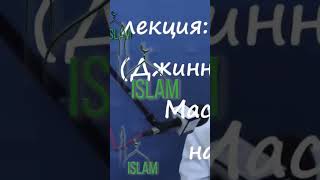 Верующий - зеркало для другого верующего. Шейх Хасан Али