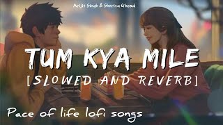 Tum Kya Mile||Slowed Reverb||Lofi love Song ❤️||Arijit Singh & Sheriya Ghosal||8D Remix