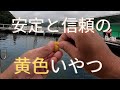 脈釣りで釣り堀マダイ釣り!黄色ダンゴ特有のアタリの取り方
