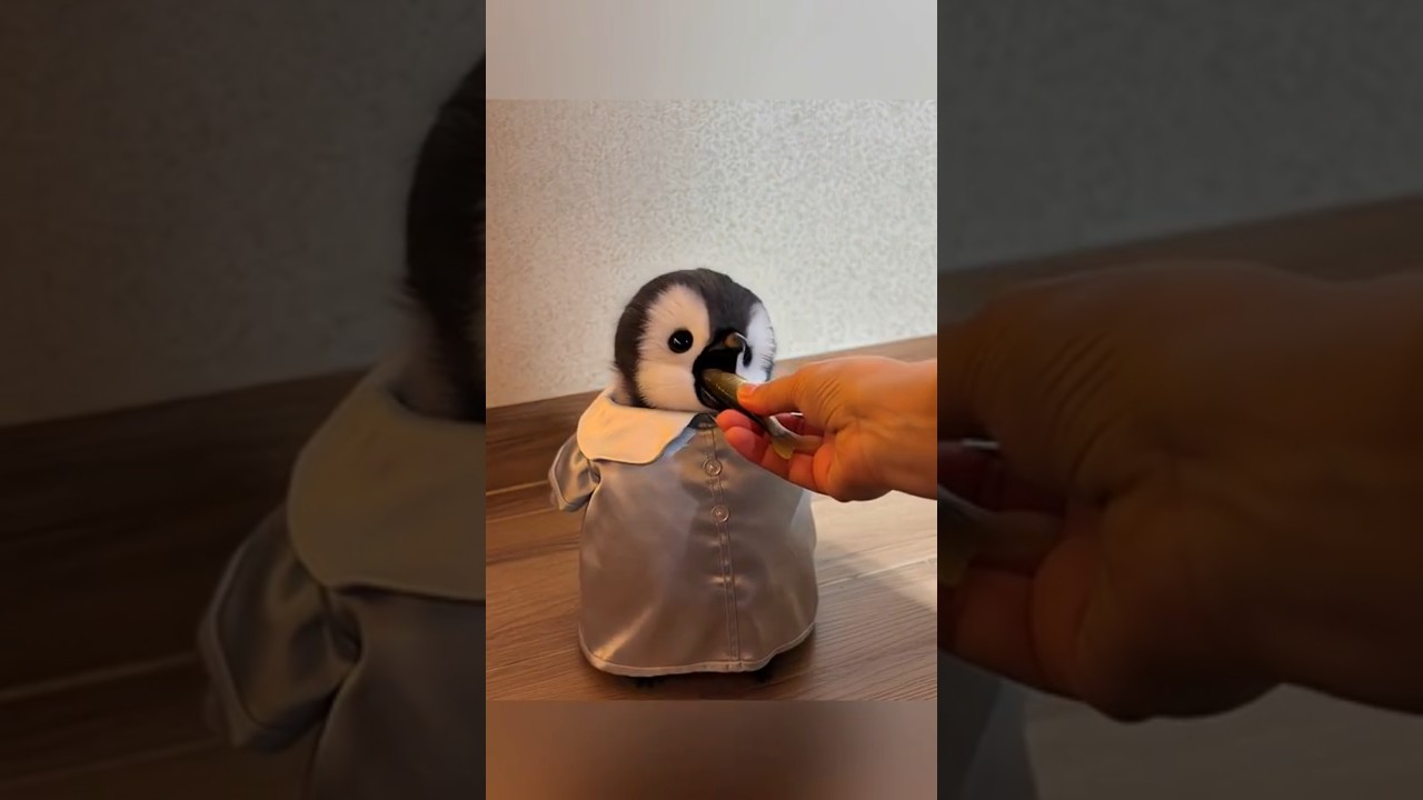 Time to sleep with my cute baby penguin | かわいい赤ちゃんペンギンといっしょに寝る時間だね | 귀여운 아기 펭귄이랑 잘 시간이다 😚