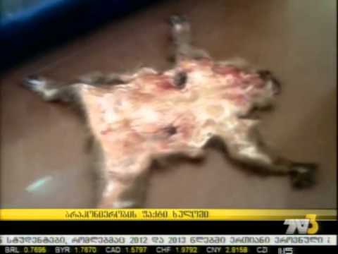 ბრაკონიერობის ფაქტი ხულოში