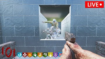 ONE WINDOW CHALLENGE!! (Black Ops 3)