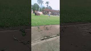 Judul Judulnya  lamia channel