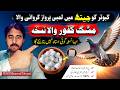 ‎‎Kabootar Ki Jeth Mein Sham Tak Parvaaz Karvane Wala Nuksa || Malik Maqsood Ahmad
