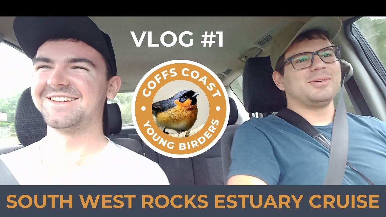 vlog 1 SOUTH WEST ROCKS ESTUARY CRUISE Coffs Coast Young Birders