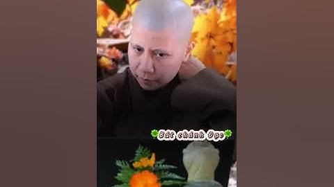 Sông sâu tĩnh lặng, lúa chín cuối đầu - Bài giảng của Sư cô Giác Lệ Hiếu nghe quá thấm. 🙏🙏🙏