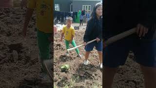 Honlei Di Katuh Nao Video Chomcha