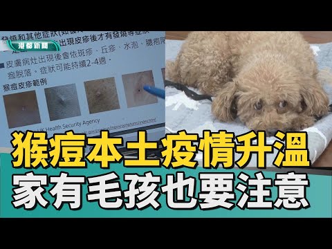 猴痘疫情 | 猴痘本土疫情升溫 家中有毛孩也要注意