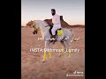 شعر ليبي ياضيق العلام تصميم Mahmoud Lgmily 