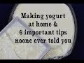 Homemade Yogurt Natural & Plain, 6  Tips You've Never Heard Before